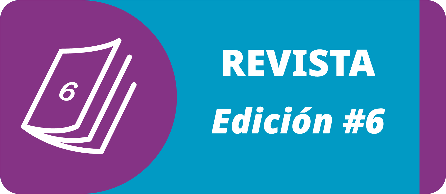 Edición #6